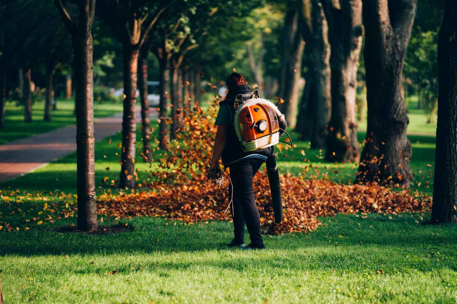 Best Tree Health Inspection  in Dove Valley, CO